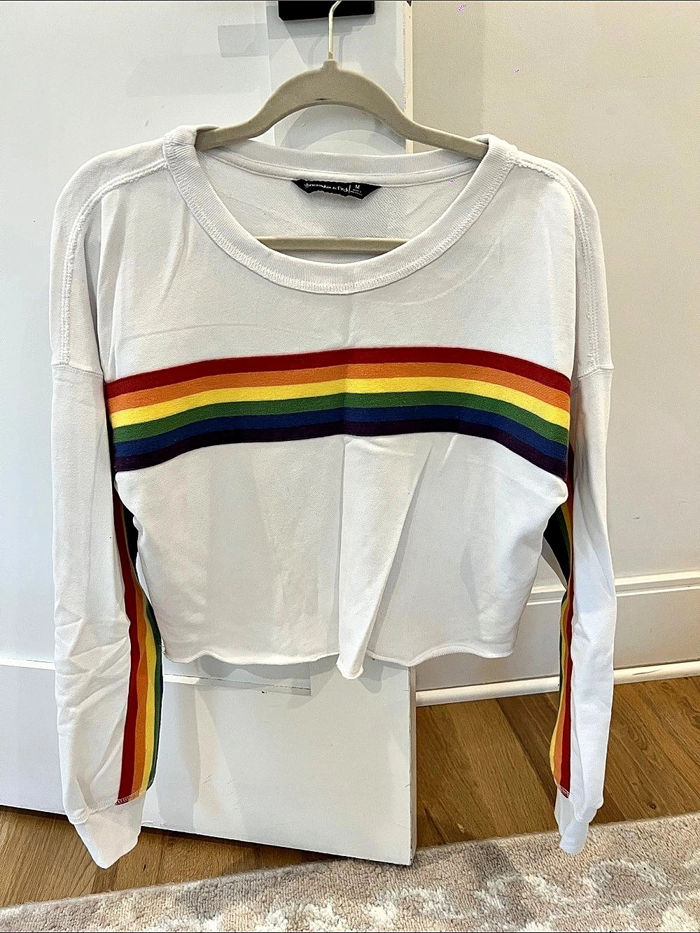 Abercrombie & Fitch Rainbow Stripe Sleeve Crop Sweatshirt